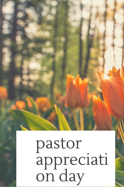 Pastor Appreciation Speeches